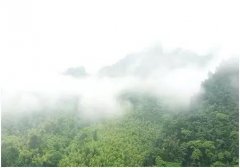 ���M(j��n)��ɽ�����I(y��)�y(c��)���T��15��̤��y(c��)�^(q��)�������y�P(gu��n)